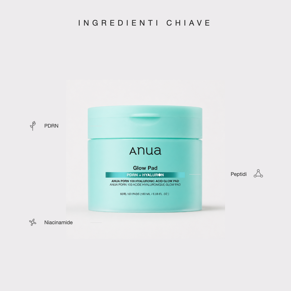 Anua PDRN 100 Hyaluronic Acid Glow Plumping Pad - ingredienti chiave