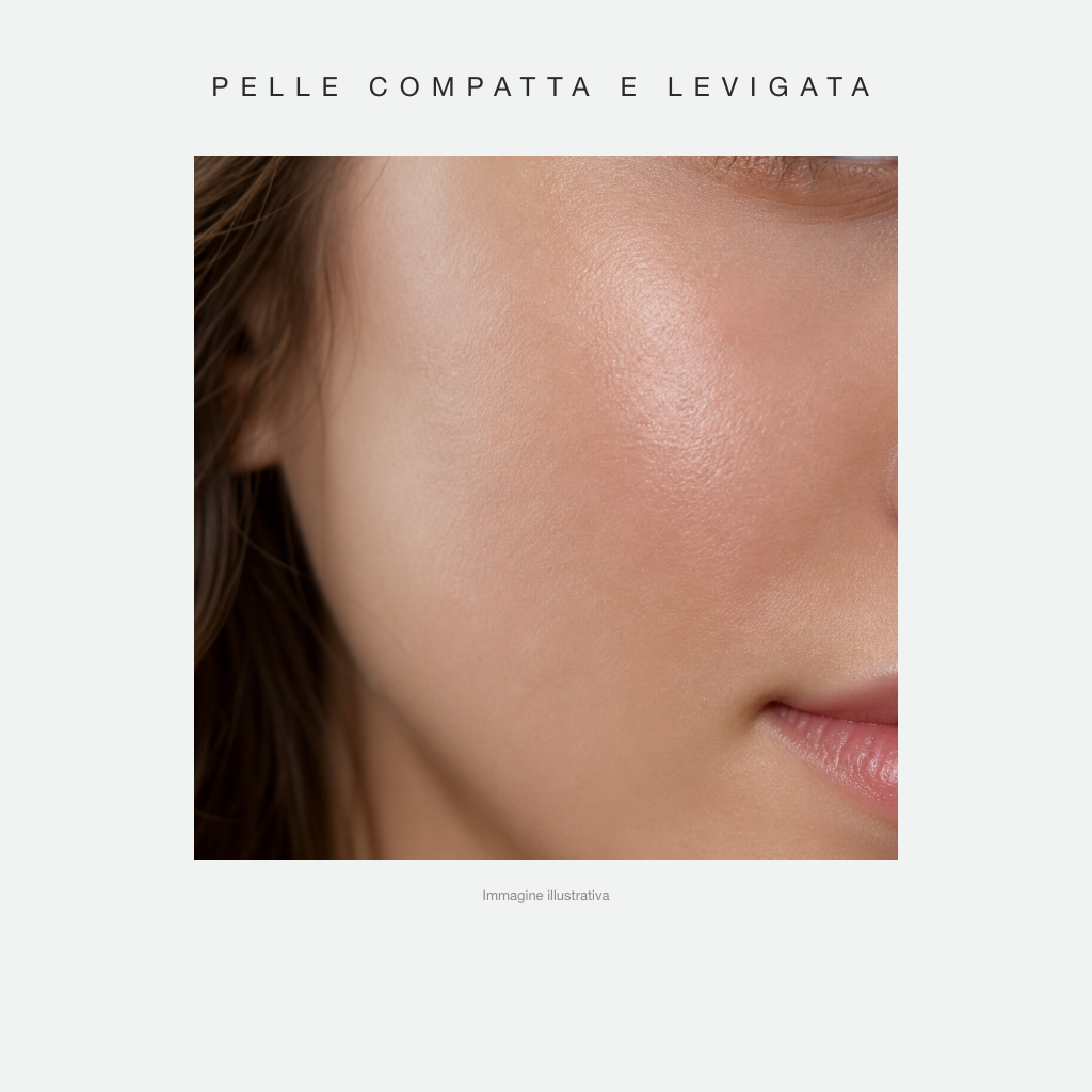 Pelle compatta e levigata - immagine illustrativa